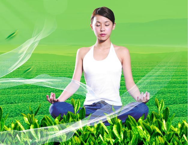 办假的大盆地学院文凭毕业证